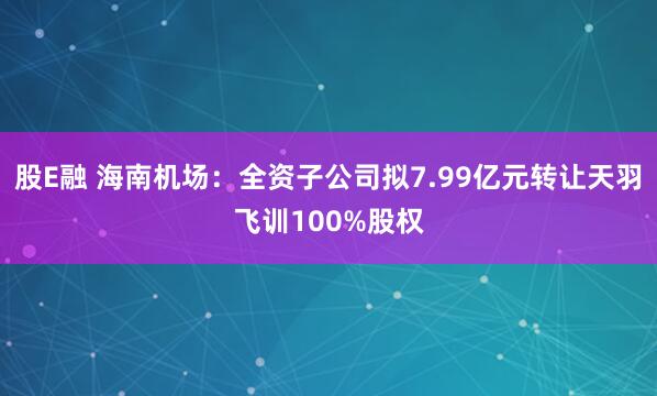 股E融 海南机场：全资子公司拟7.99亿元转让天羽飞训100%股权