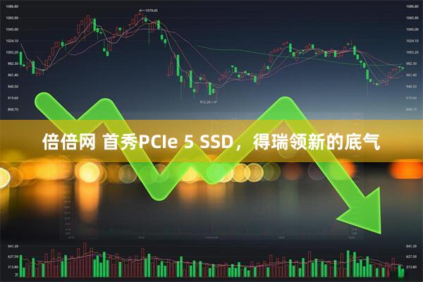 倍倍网 首秀PCIe 5 SSD，得瑞领新的底气