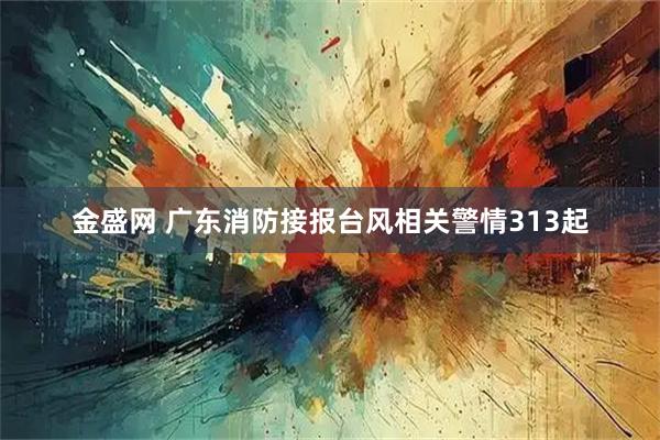 金盛网 广东消防接报台风相关警情313起