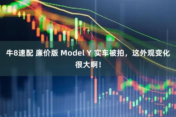 牛8速配 廉价版 Model Y 实车被拍，这外观变化很大啊！