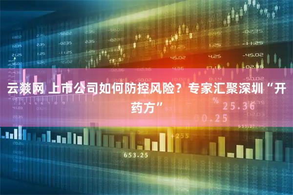 云燚网 上市公司如何防控风险？专家汇聚深圳“开药方”