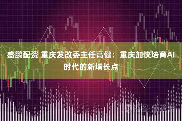 盛鹏配资 重庆发改委主任高健：重庆加快培育AI时代的新增长点