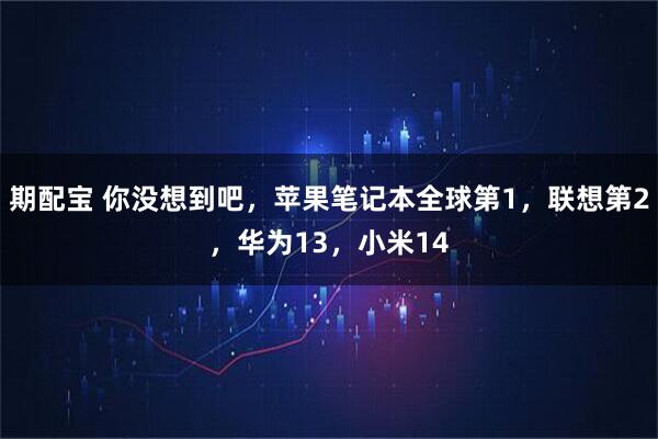 期配宝 你没想到吧，苹果笔记本全球第1，联想第2，华为13，小米14